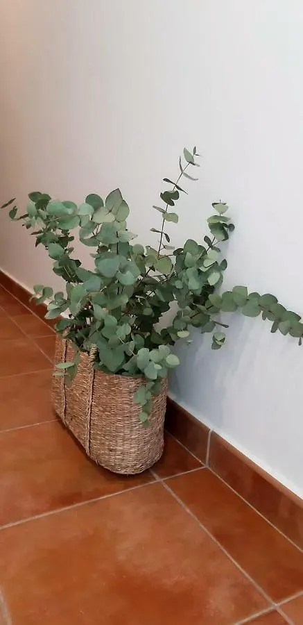 Hostal Sa Posada Set Cales Ciutadella  0*, Ciutadella (Menorca) Spanje